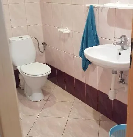 Проживание в семье Czerwony Kamien Rubin Сянозеты