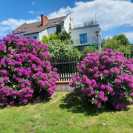 Czerwony Kamien Rubin *