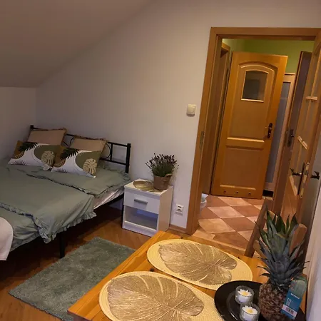 Habitación en casa particular Czerwony Kamien Rubin