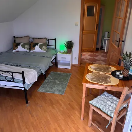 Habitación en casa particular Czerwony Kamien Rubin *