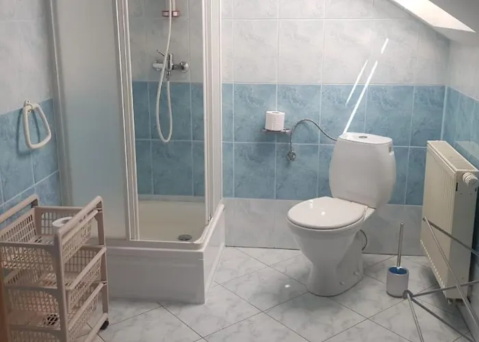 Проживание в семье Czerwony Kamien Rubin