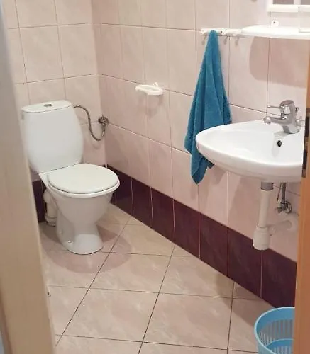 Проживание в семье Czerwony Kamien Rubin Сянозеты