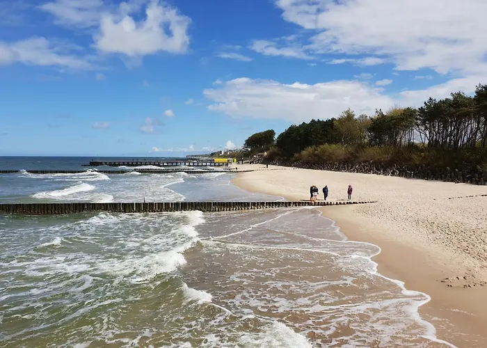 Проживание в семье Czerwony Kamien Rubin *
