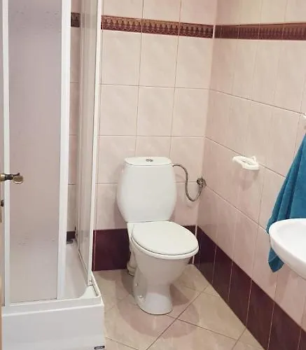 Проживание в семье Czerwony Kamien Rubin Сянозеты