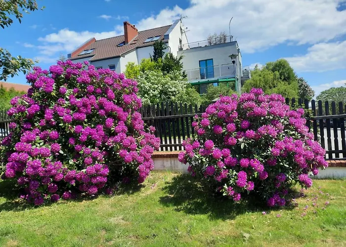 Czerwony Kamien Rubin *