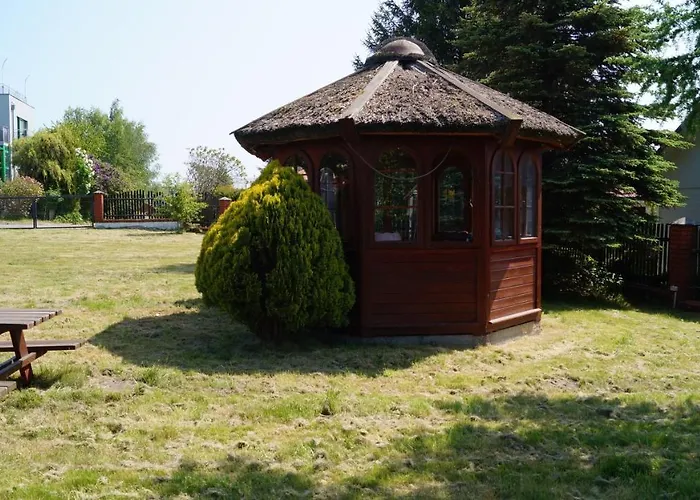 Проживание в семье Czerwony Kamien Rubin