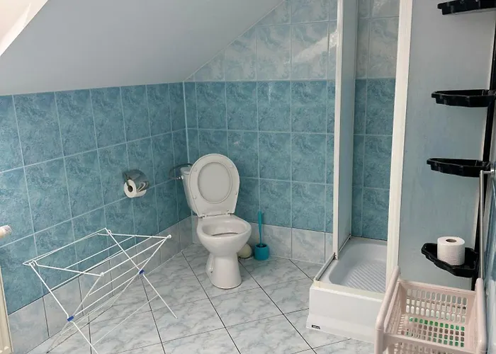 Проживание в семье Czerwony Kamien Rubin Сянозеты