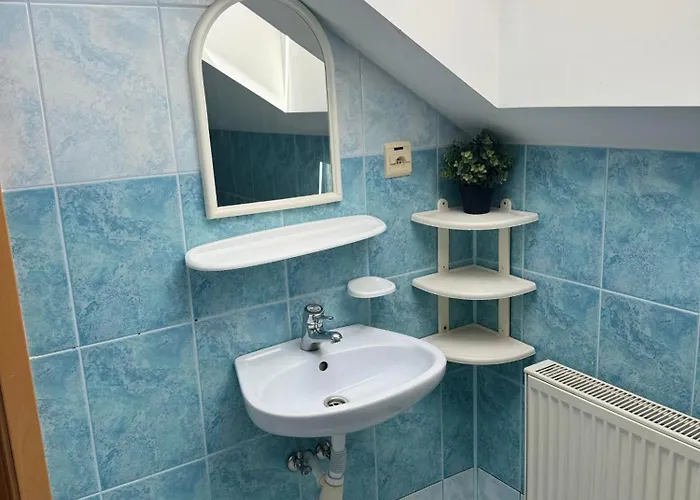 Czerwony Kamien Rubin Проживание в семье Сянозеты